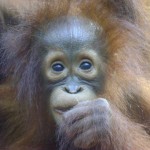 31678_1129245326757_1695950741_228869_3452059_n