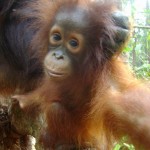 31678_1129245366758_1695950741_228870_3958780_n