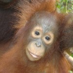 31678_1129245406759_1695950741_228871_1290012_n