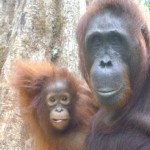 31678_1129245486761_1695950741_228873_7604950_n