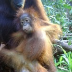 31678_1129245606764_1695950741_228876_1252922_n