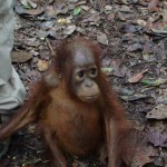 317025_1802868531072_1820630072_1208879_660792347_n