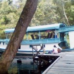 37188_1336539752509_1801567860_642044_5677851_n