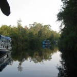 5006_89455273861_626913861_2060034_4324074_n