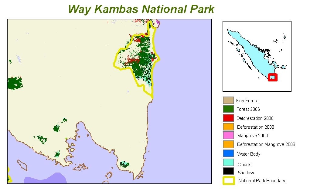 komodo, komodo tour, komodo travel, komodo flores, flores, flores tour, komodo adventure, komodo ecotourism, komodo bali tour, bali, bali tour, labuhan bajo, komodo dive, komodo indonesia