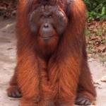 n1589059369_48122_8654