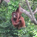 n702341834_1179805_9227