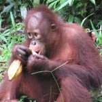 n702341834_1179809_651