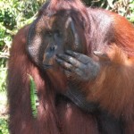 n702341834_1179857_4864