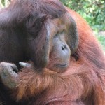 n702341834_1179860_6115